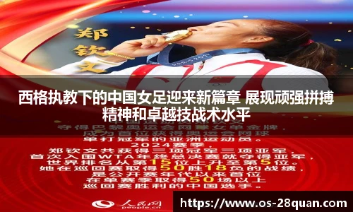 28圈平台
