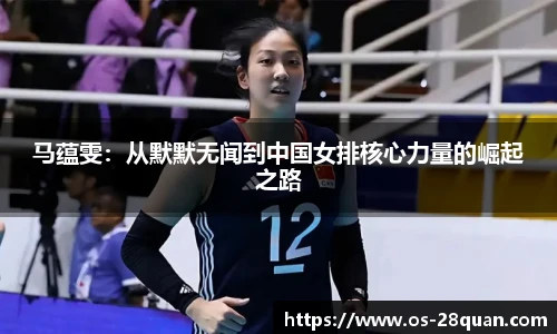 28圈平台