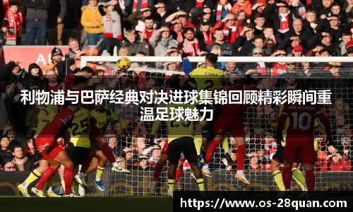 28圈娱乐