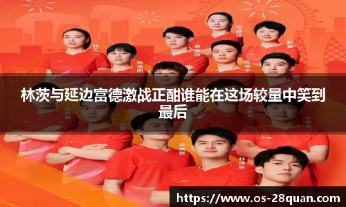 28圈游戏