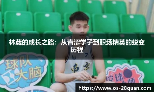 28圈娱乐