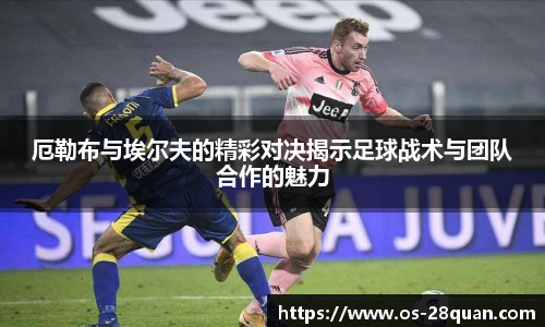 28圈游戏