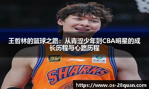 王哲林的篮球之路：从青涩少年到CBA明星的成长历程与心路历程