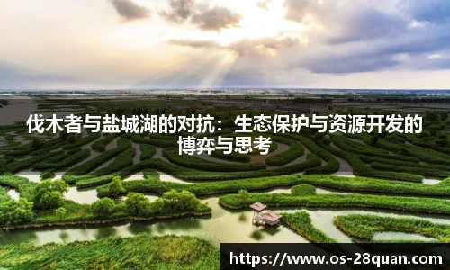 28圈平台